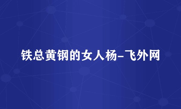 铁总黄钢的女人杨-飞外网