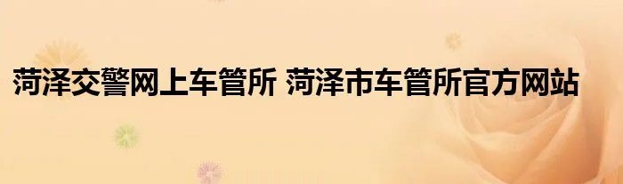 菏泽交警网上车管所 菏泽市车管所官方网站