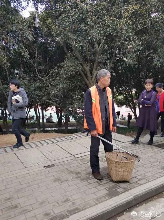 男子武大校园剧烈摇动樱花树，如何有效制止此类行为？