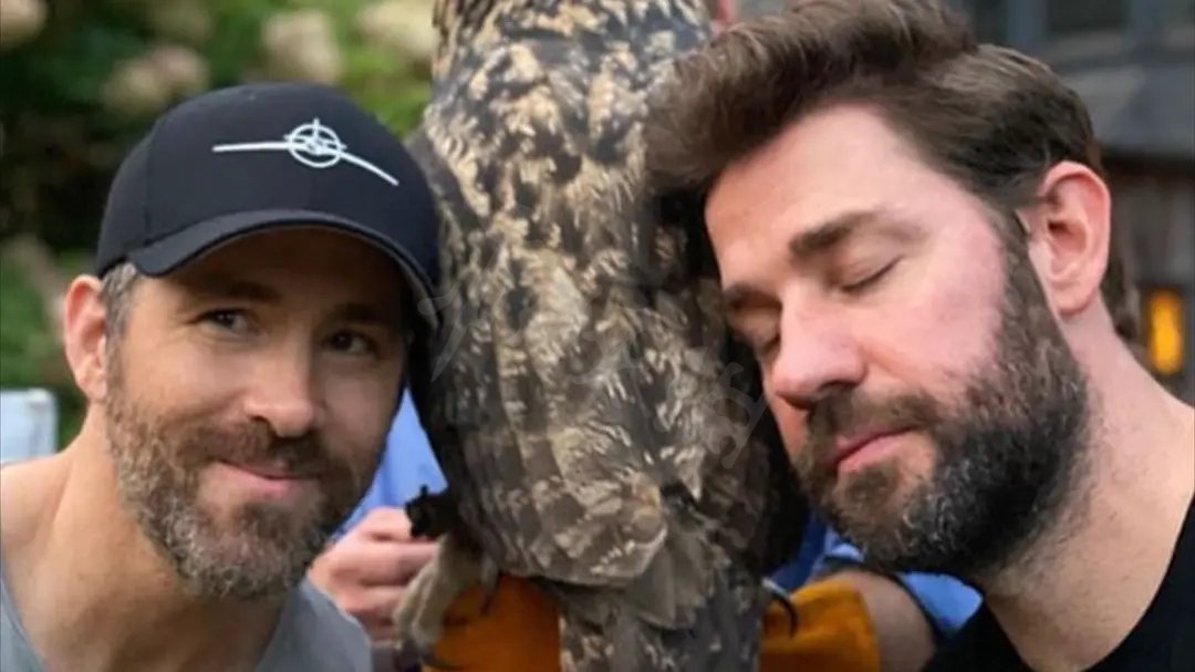 失控玩家彩蛋一览 失控玩家有哪些彩蛋