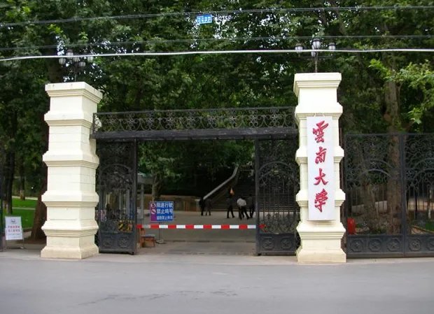 云南大学为何回应查无凡伟此人?