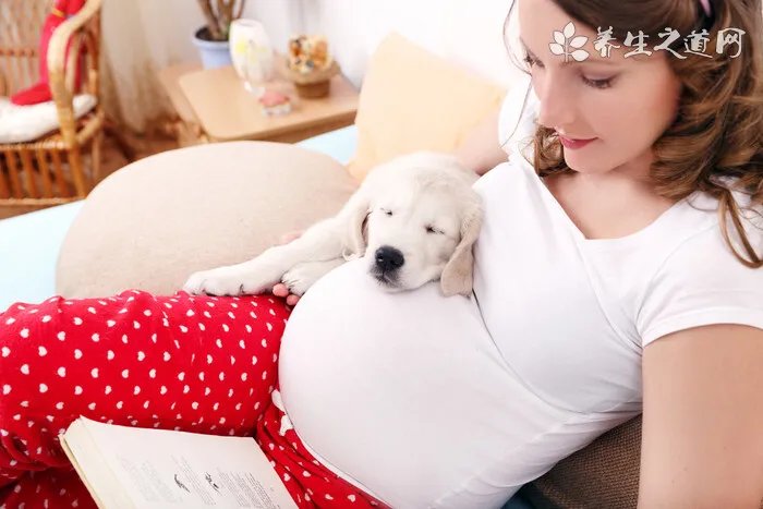 猫皮毛的作用及构造，猫皮毛介绍