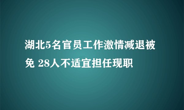 湖北5名官员工作激情减退被免 28人不适宜担任现职