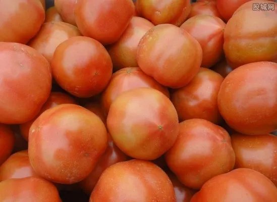 靠卖西红柿买3套房 为什么卖西红柿这么赚钱