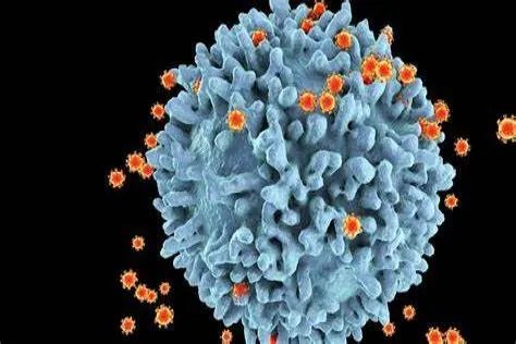 新冠病毒图片