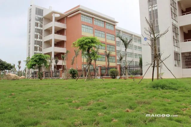 茂名有哪些大学 茂名市大学排名 茂名大学名单一览【大学名录】