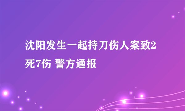 沈阳发生一起持刀伤人案致2死7伤 警方通报