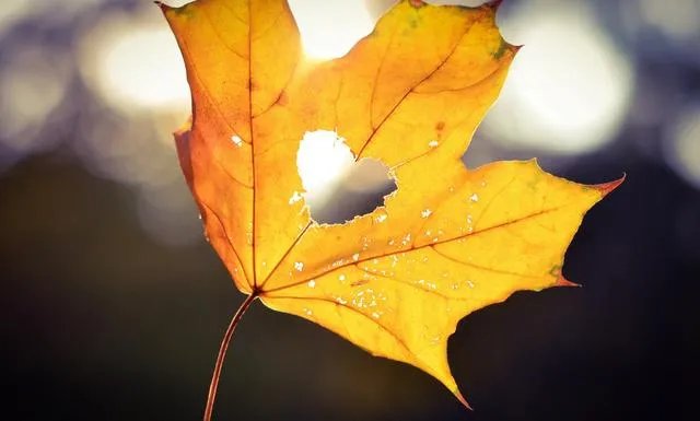 怀孕女子回娘家途中失联10年究竟是怎么回事?