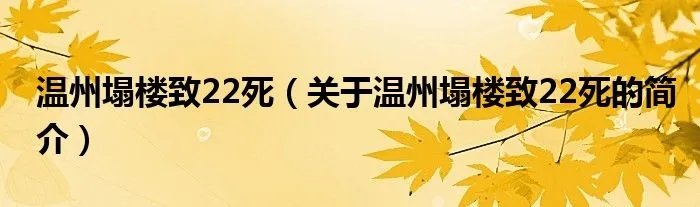 温州塌楼致22死（关于温州塌楼致22死的简介）