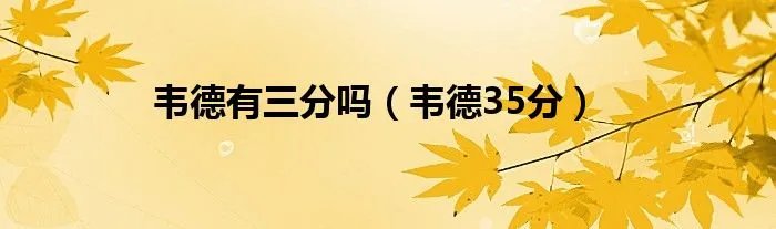 韦德有三分吗（韦德35分）