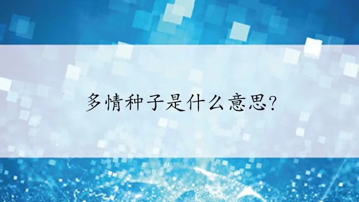 多情种子是什么意思？
