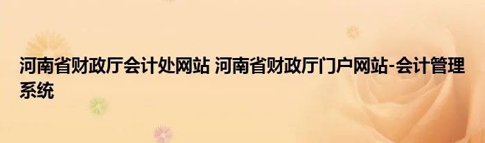 河南省财政厅会计处网站 河南省财政厅门户网站-会计管理系统