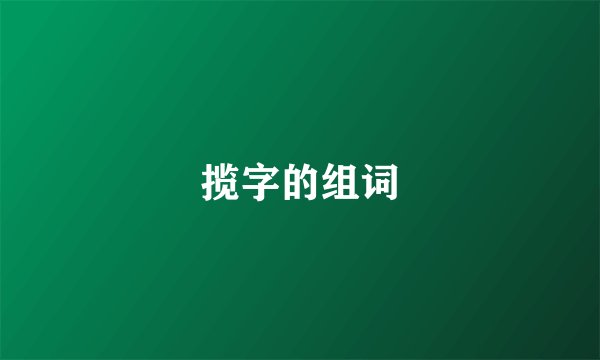 揽字的组词