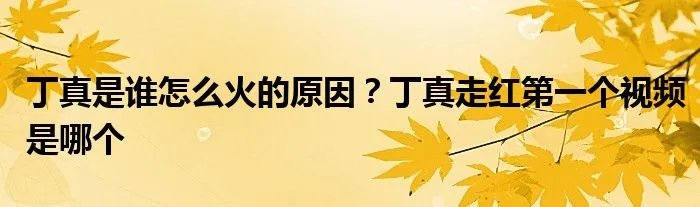 丁真是谁怎么火的原因?丁真走红第一个视频是哪个