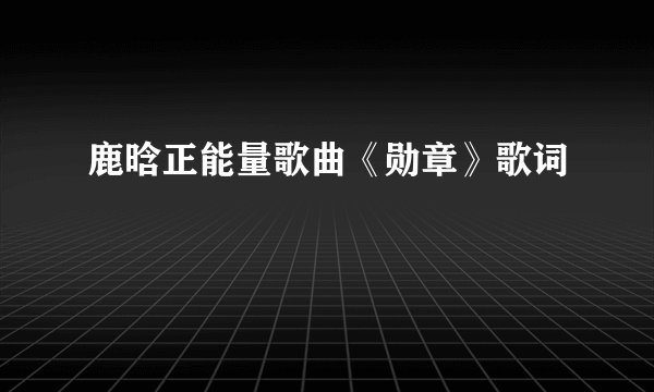 鹿晗正能量歌曲《勋章》歌词