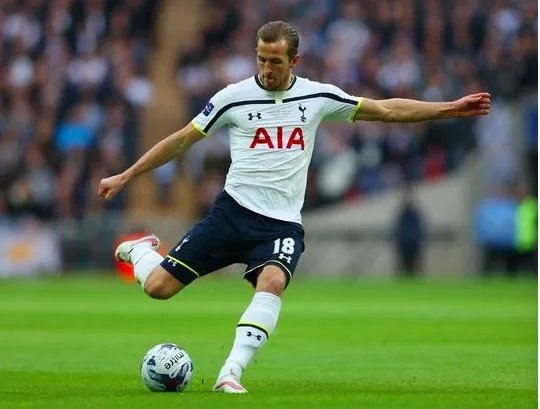 凯恩进球上诉成功了吗?