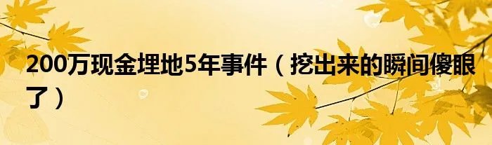 200万现金埋地5年事件（挖出来的瞬间傻眼了）