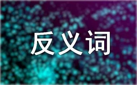 朴素的反义词