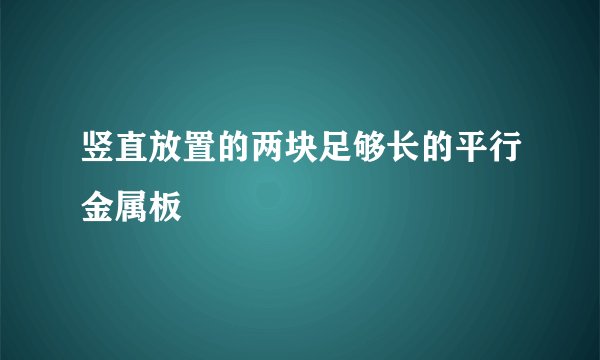 竖直放置的两块足够长的平行金属板