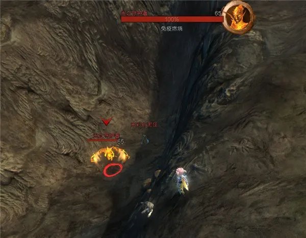 《激战2》隐秘花园进入方法及跳跳乐走法