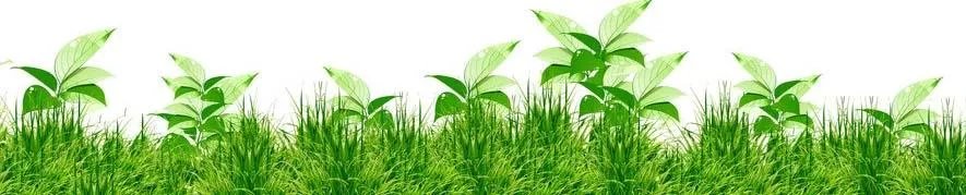 著名作家余光中病逝了吗?