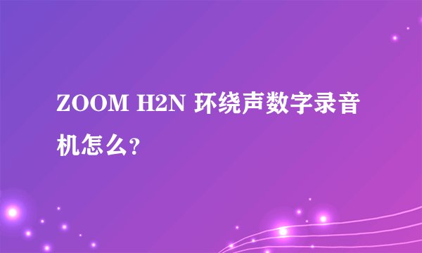 ZOOM H2N 环绕声数字录音机怎么？