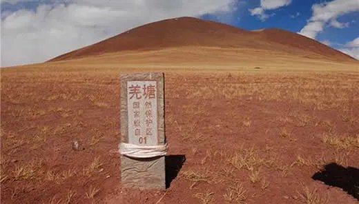 穿羌塘无人区被罚：这到底是个什么梗？