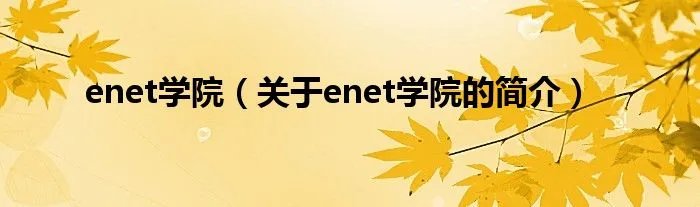 enet学院（关于enet学院的简介）