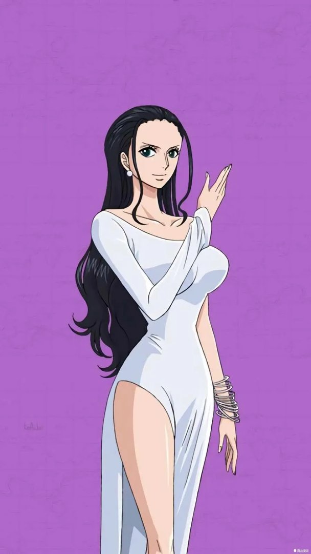 海贼王hental 娜美本子(最活跃的4个海贼王女性)