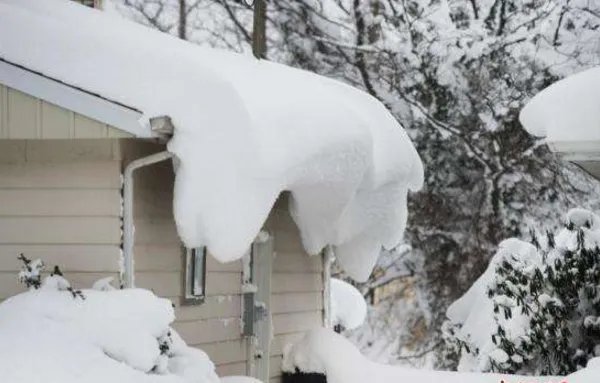 美国严寒8人冻死具体发生了什么事情?