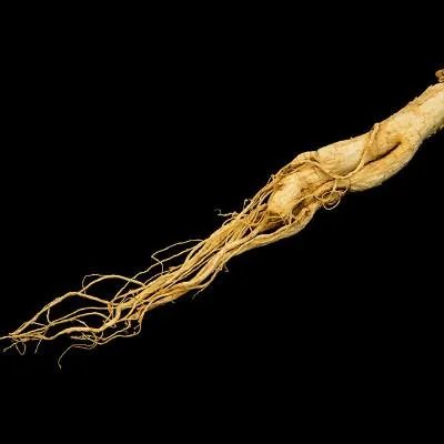 澳优能力多奶粉价格