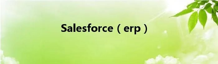 Salesforce（erp）