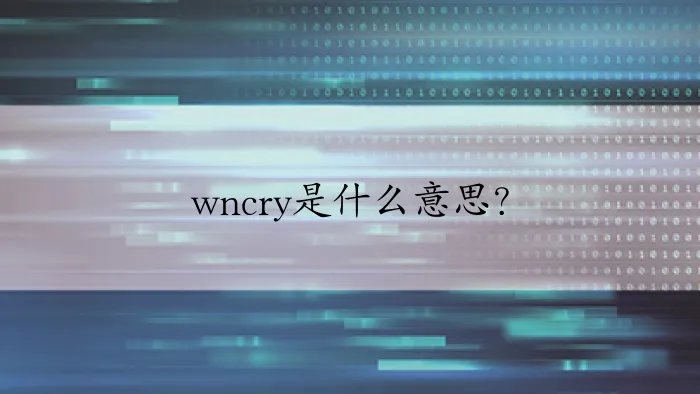 wncry是什么意思？