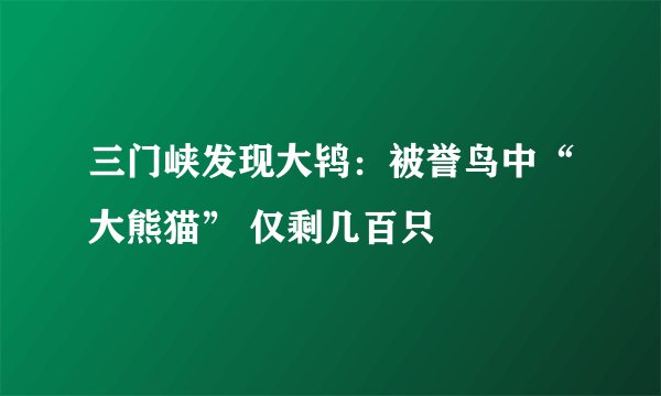 三门峡发现大鸨:被誉鸟中“大熊猫” 仅剩几百只