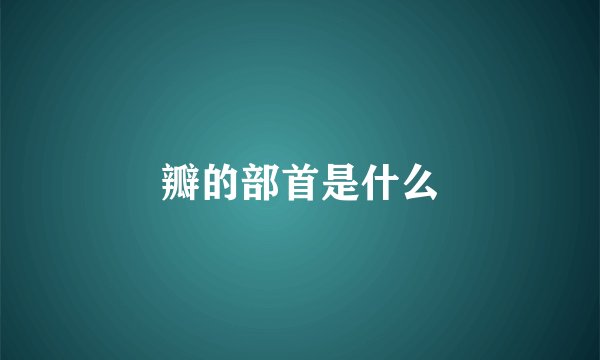 瓣的部首是什么