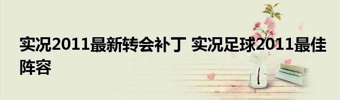 实况2011最新转会补丁 实况足球2011最佳阵容
