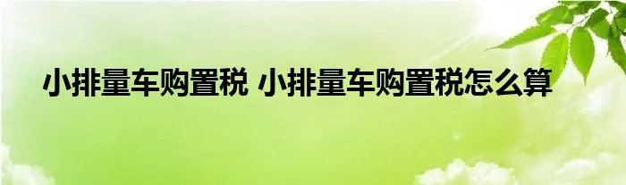 小排量车购置税 小排量车购置税怎么算