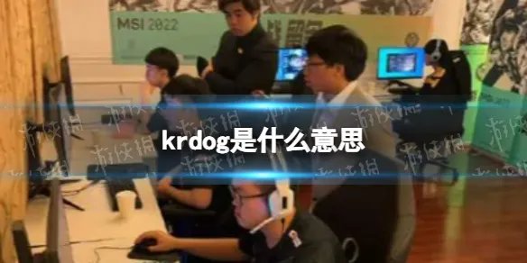 krdog是什么意思 krdog梗意思介绍