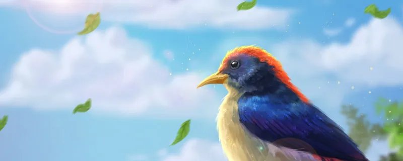 鸟字旁的字 鸟字旁的字有哪些