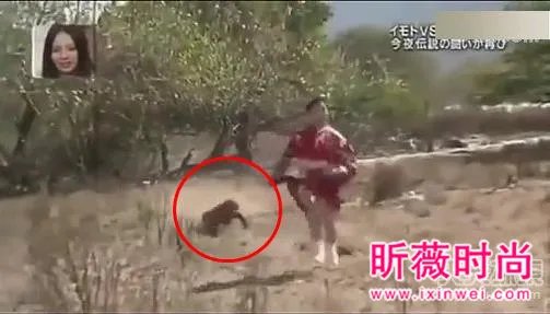 女子勾引巨蜥 场面让人目瞪口呆(组图)