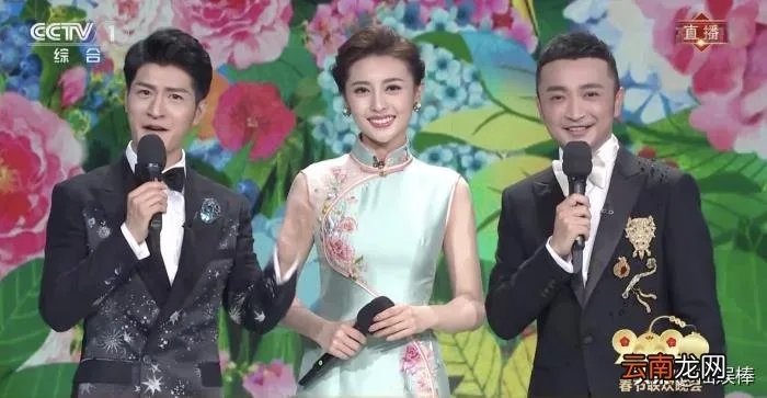 令人惊艳的春晚主持人服装 春晚主持人服装