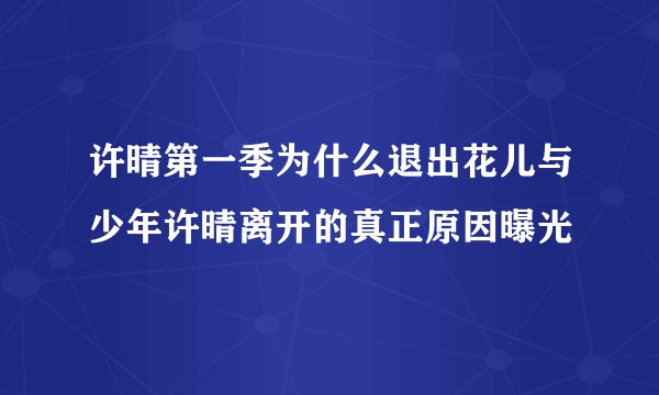 许晴第一季为什么退出花儿与少年许晴离开的真正原因曝光