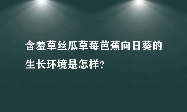 含羞草丝瓜草莓芭蕉向日葵的生长环境是怎样？