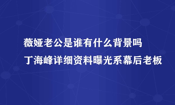 薇娅老公是谁有什么背景吗 丁海峰详细资料曝光系幕后老板