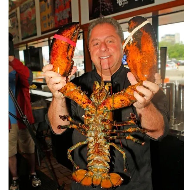 132岁老龙虾放生是怎么回事?