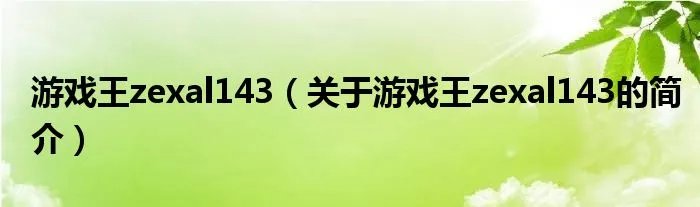 游戏王zexal143（关于游戏王zexal143的简介）
