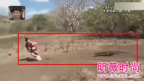 女子勾引巨蜥 场面让人目瞪口呆(组图)