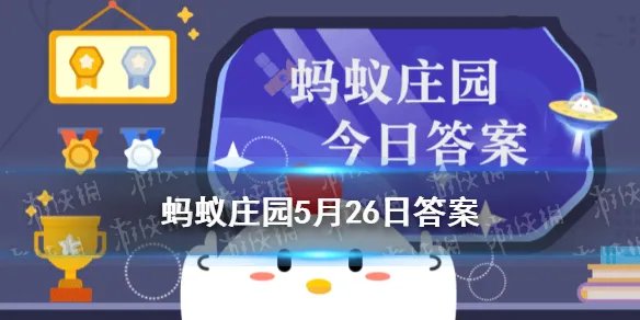 蚂蚁庄园经常吃汤泡饭 汤泡饭蚂蚁庄园今日答案最新5.26