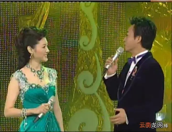 令人惊艳的春晚主持人服装 春晚主持人服装