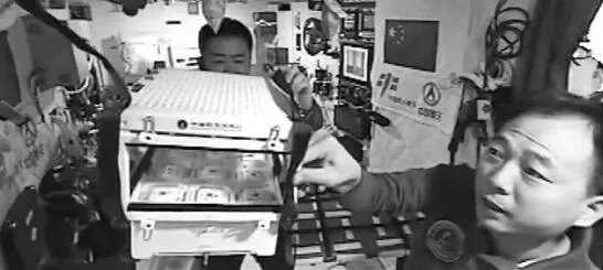 首次在太空当菜农 天上播种的方式和地面不同